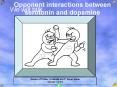 Opponent interactions between serotonin and dopamine