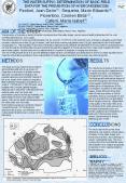 Diapositiva 1