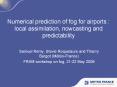 Numerical prediction of fog for airports : local assimilation, nowcasting and predictability