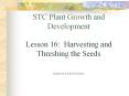 STC Plant Growth and Development Lesson 16: Harvesting and Threshing the Seeds Kennewick School Dist