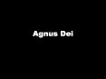 Agnus Dei