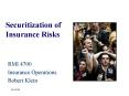 Securitization of Insurance Risks