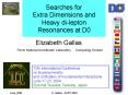 Searches for Extra Dimensions and Heavy dilepton Resonances at D0