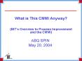 What is This CMMI Anyway BITs Overview to Process Improvement and the CMMI