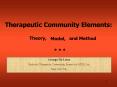 Therapeutic Community Elements: