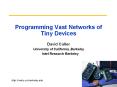 Programming Vast Networks of Tiny Devices
