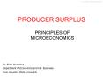 PRODUCER SURPLUS