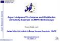 Expert Judgment Techniques and Distribution Sensitivity Analyses in RMPS Methodology