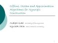 Offline, Stream and Approximation Algorithms for Synospis Construction