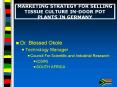 MARKETING STRATEGY FOR SELLING TISSUE CULTURE INDOOR POT PLANTS IN GERMANY