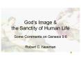 God's Image