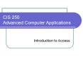 CIS 250 Advanced Computer Applications