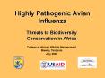 Highly Pathogenic Avian Influenza