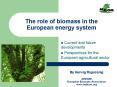 The role of biomass in the European energy system