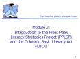 Module 2: Introduction to the Pikes Peak Literacy Strategies Project PPLSP and the Colorado Basic Li