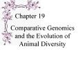 Comparative Genomics and the Evolution of Animal Diversity