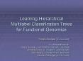 Learning Hierarchical Multilabel Classification Trees for Functional Genomics
