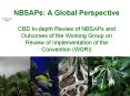 NBSAPs: A Global Perspective CBD Indepth Review of NBSAPs and Outcomes of the Working Group on Revie