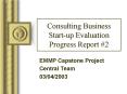Consulting Business Startup Evaluation Progress Report