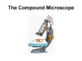 The Compound Microscope