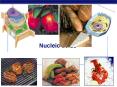 Nucleic acids