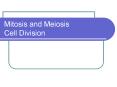 Mitosis and Meiosis Cell Division