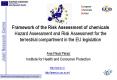 Framework of the Risk Assessment of chemicals Hazard Assessment and Risk Assessment for the terrestr