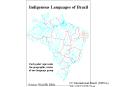 Lnguas Indgenas Brasileiras