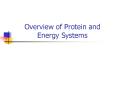 Overview of Protein and Energy Systems