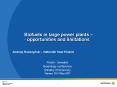 Biofuels in large power plants opportunities and limitations