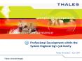 Professional Development within the System Engineerings job family