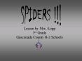 SPIDERS