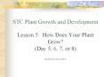 STC Plant Growth and Development Lesson 5: How Does Your Plant Grow Day 5, 6, 7, or 8 Kennewick Scho