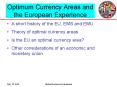 Optimum Currency Areas and the European Experience