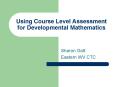 Using Course Level Assessment for Developmental Mathematics
