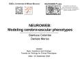 NEUROWEB: Modeling cerebrovascular phenotypes
