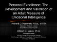 Personal Excellence: The Development and Validation of an Adult Measure of Emotional Intelligence
