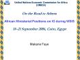 On the Road to Athens African Ministerial Positions on IG during WSIS 1821 September 2006, Cairo, Eg