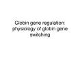 Globin gene regulation: physiology of globin gene switching