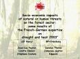 Socioeconomic impacts of natural or human threats on the forest sector some results of the FrenchGer