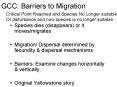 GCC: Barriers to Migration