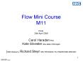 Flow Mini Course M11
