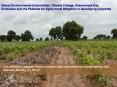 Global Environmental Externalities: Climate Change, Greenhouse Gas Emissions and the Potential for A