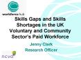 Skills Gaps and Skills Shortages in the UK Voluntary and Community Sectors Paid Workforce
