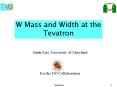 W Mass and Width at the Tevatron