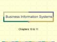 Business Information Systems