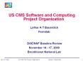 US CMS Software and Computing Project Organization