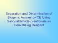 Separation and Determination of Biogenic Amines by CE Using Salicylaldehyde5sulfonate as Derivatizin
