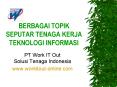BERBAGAI TOPIK SEPUTAR TENAGA KERJA TEKNOLOGI INFORMASI