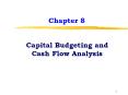 Capital Budgeting and Cash Flow Analysis